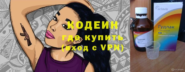 индика Лабытнанги