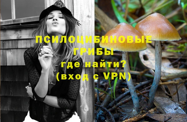 тгк Ладушкин