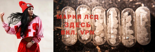 ПСИЛОЦИБИНОВЫЕ ГРИБЫ Липки