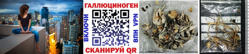 где купить наркотик  Красково  Псилоцибиновые грибы ЛСД 